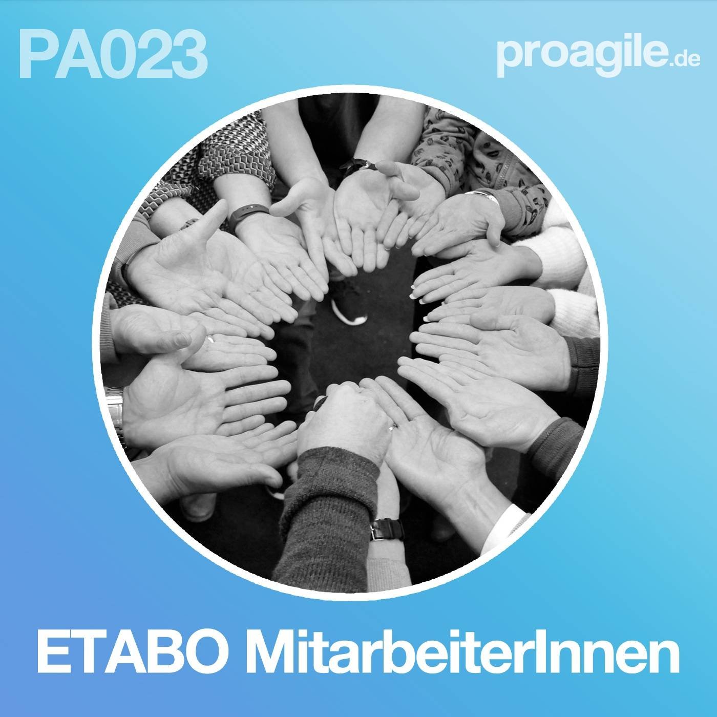 Agilität in der Praxis - proagile.de