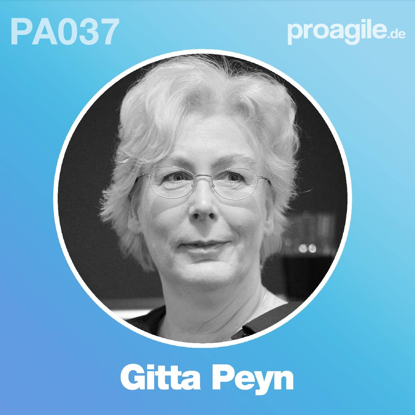 Agilität in der Praxis - proagile.de