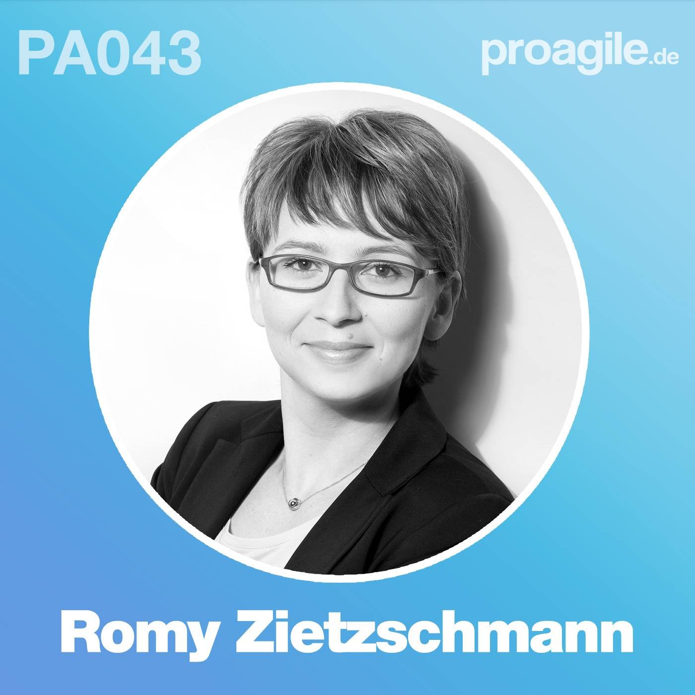Agilität in der Praxis - proagile.de