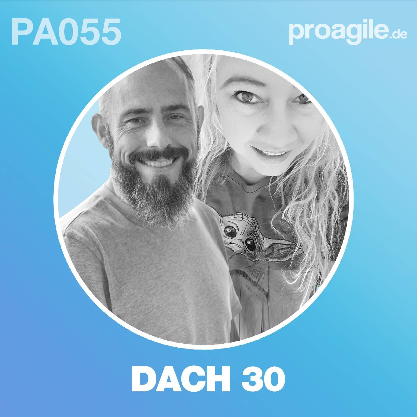 Agilität in der Praxis - proagile.de