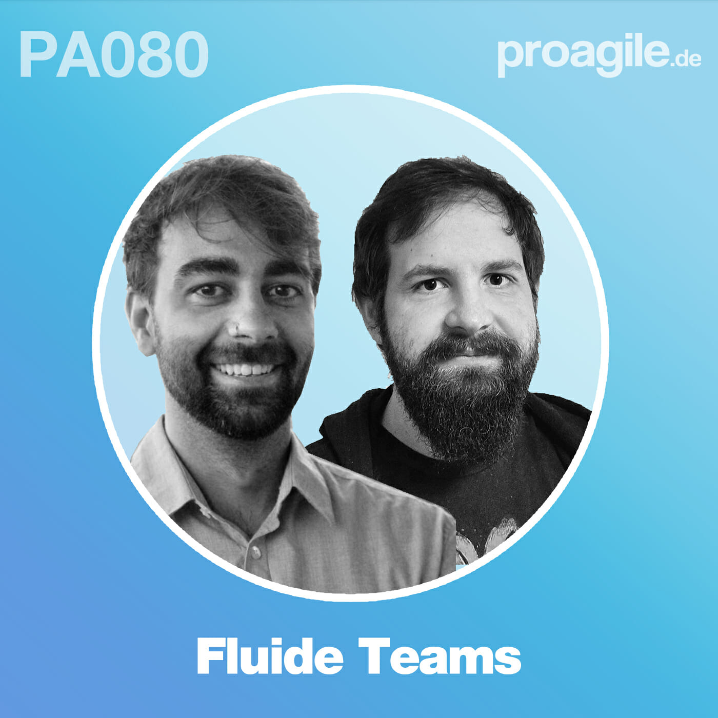 PA080 Fluide Teams