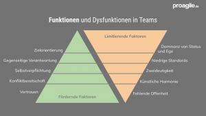 Funktionen Dysfunktionen Teams -