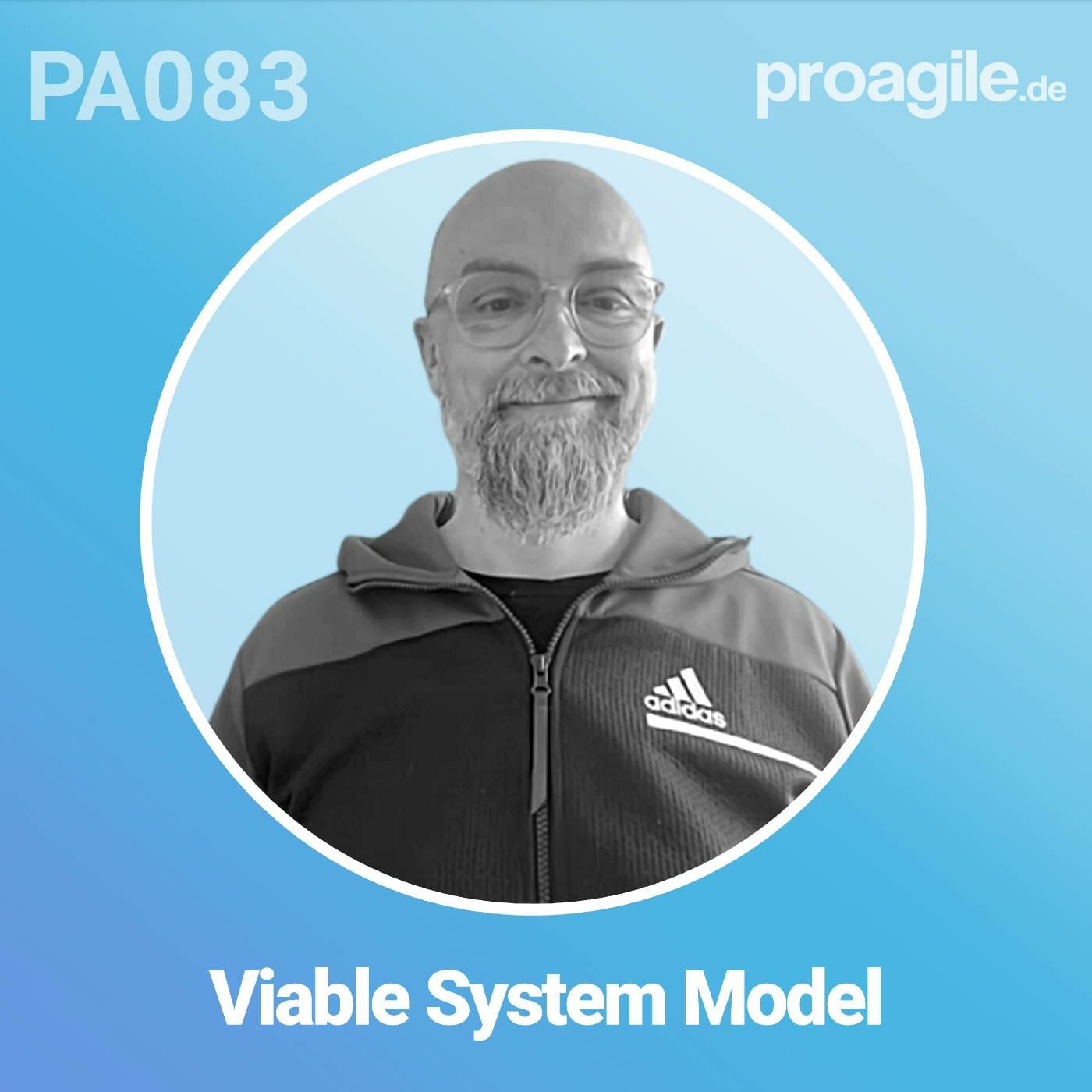 PA083 Viable System Model